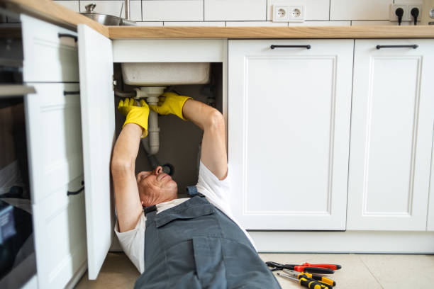 Best Plumbing Services Near Me  in Parkers Prairie, MN